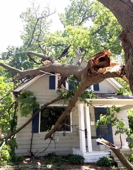 Emergency Services service by Riverside Tree Service in Buffalo, NY