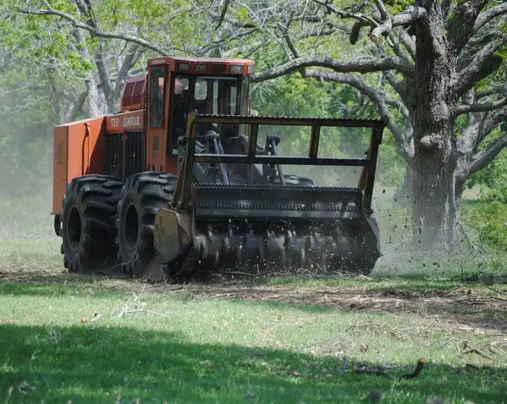 Land Clearing service by Riverside Tree Service in Buffalo, NY