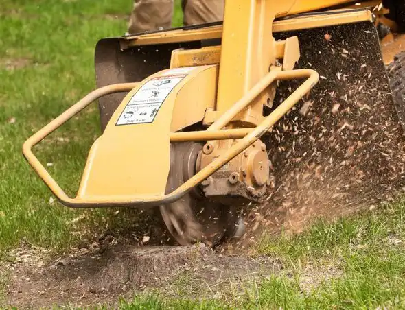 Stump Grinding service by Riverside Tree Service in Buffalo, NY