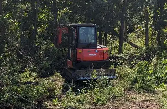 Precision Crown Pruning - Riverside Tree Service project in Buffalo, NY