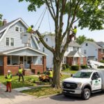 Tree Removal Cost in Buffalo NY