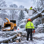 Tree Trimming in Buffalo NY